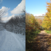 Different Seasons